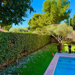 Publication : la saison des tailles, jardin avec piscine et haie